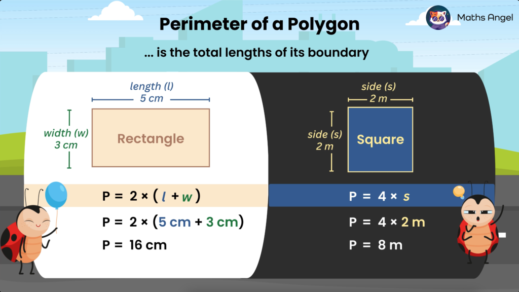 Perimeter of a rectangle and square with formulas. Rectangle: length 5 cm, width 3 cm, perimeter 16 cm. Square: side 2 m, perimeter 8 m.