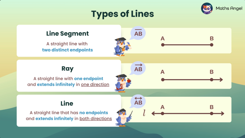 Definition, notation, and visualisation of line segments, rays, and lines.