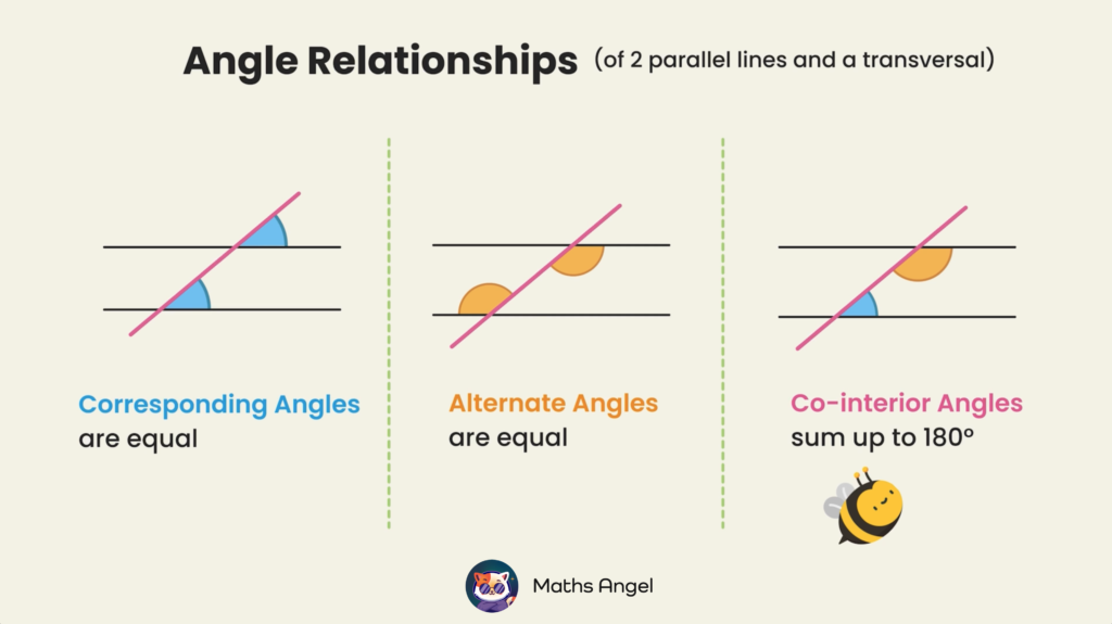 Angle relationships of two parallel lines and a transversal: corresponding angles, alternate angles, and co-interior angles are equal.