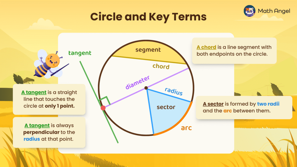Diagram of a circle showing key terms: tangent, chord, diameter, radius, sector, segment, and arc, with definitions around the circle.
