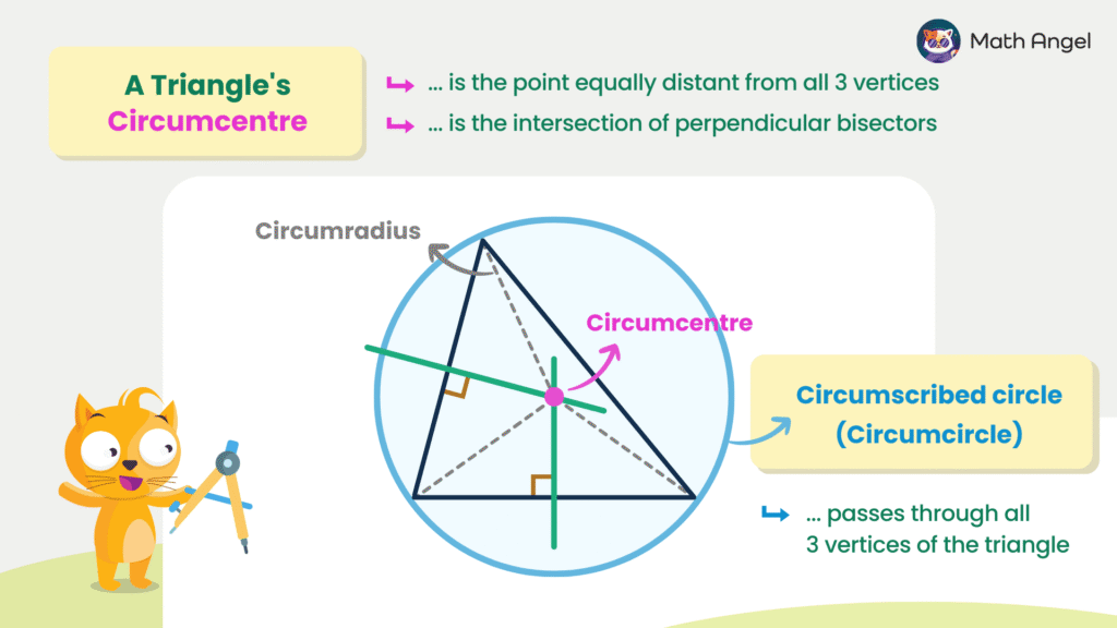 Diagram of a triangle’s circumcentre, showing the circumradius, circumscribed circle (circumcircle), and the intersection of perpendicular bisectors.